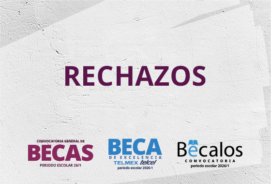 Rechazos becas